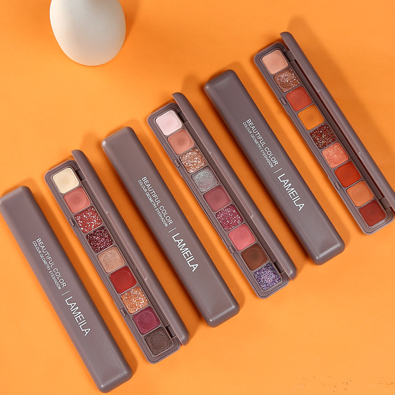 9-Farben-Lidschatten-Palette,  – Beauty Book Makeup Kit Bewertung und Preis