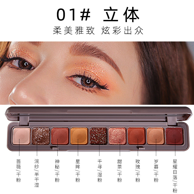 9-Farben-Lidschatten-Palette,  – Beauty Book Makeup Kit Bewertung und Preis